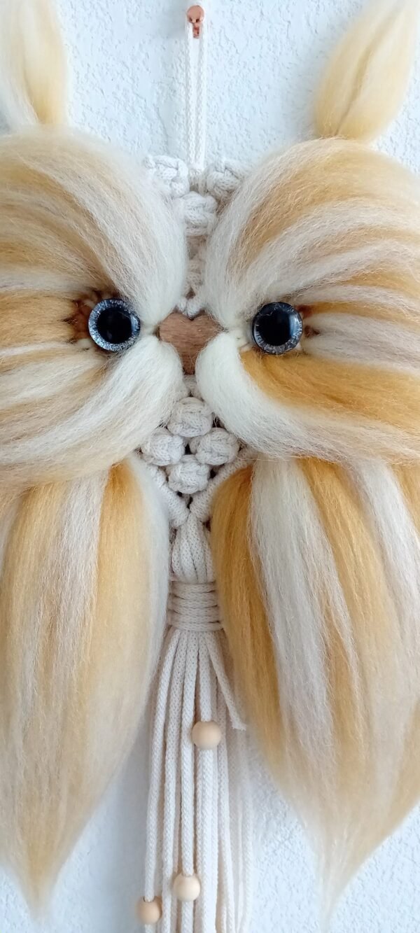 20250322_134258 Petit hibou