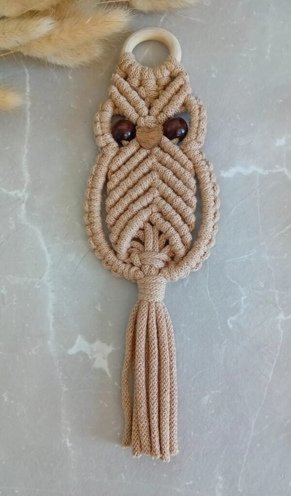 20250630_174822 Hibou Macramé Suspension